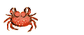 Dwarsl�per